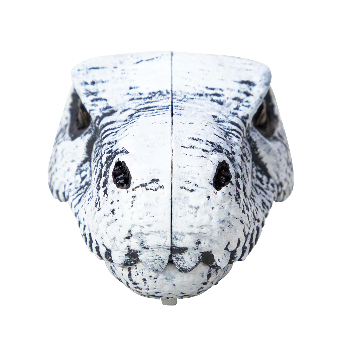 Chomp and Go Dino Skulls - Trex Front